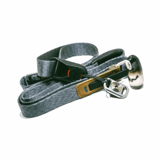 Aenean volutpat rhoncus tortor